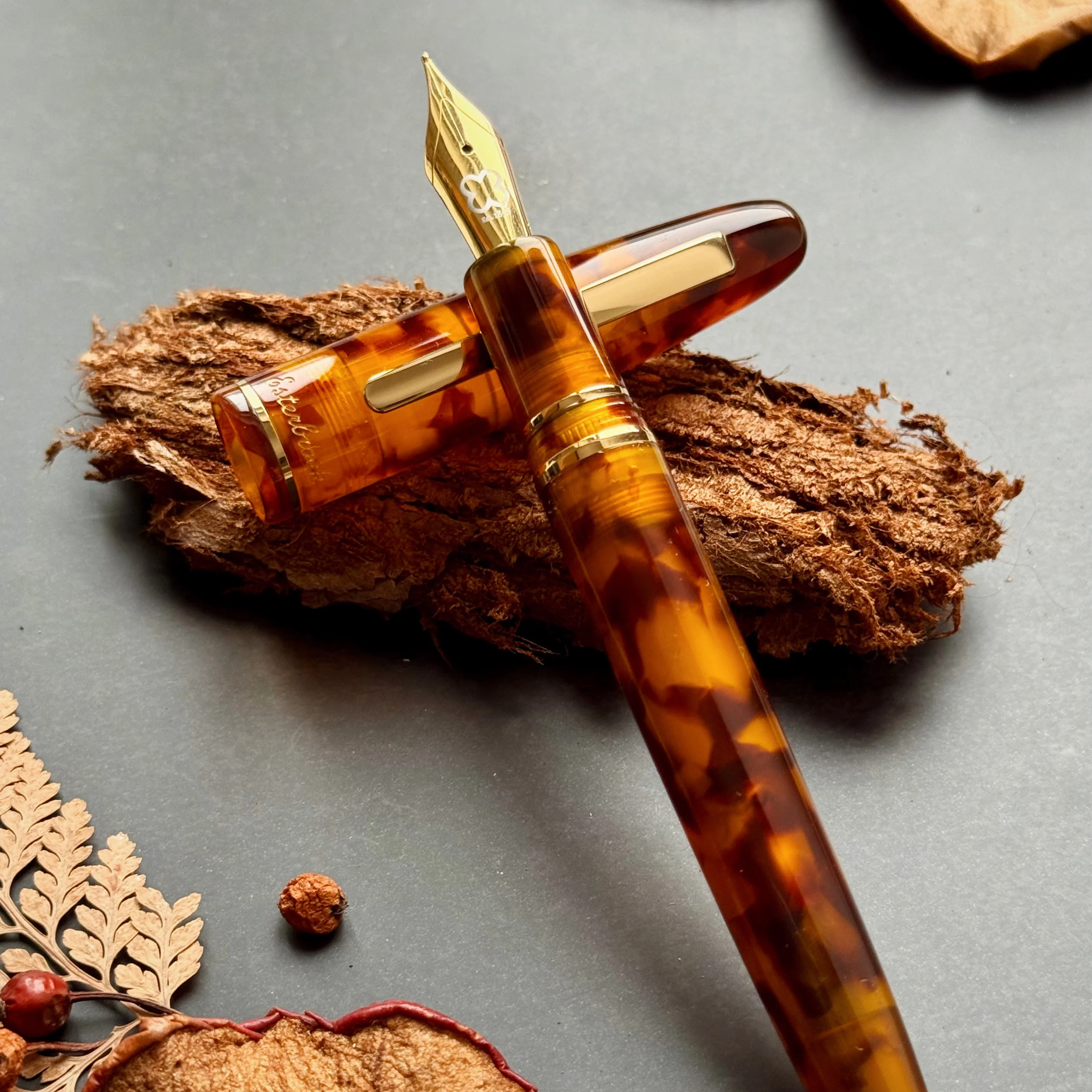 Amber Tortoise Estie - Specialty Nibs - Image 2